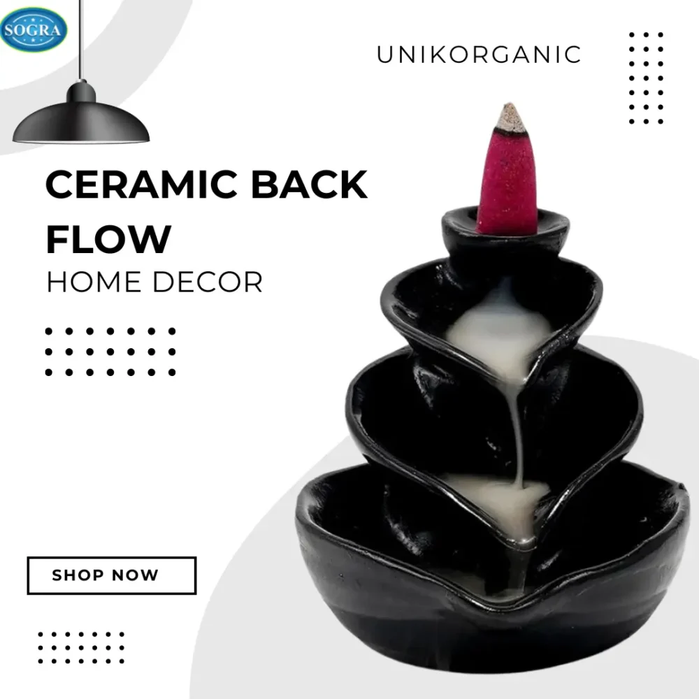 home decor :- Ceramic Back Flow